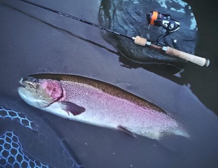 なかなか厳しい天竜川